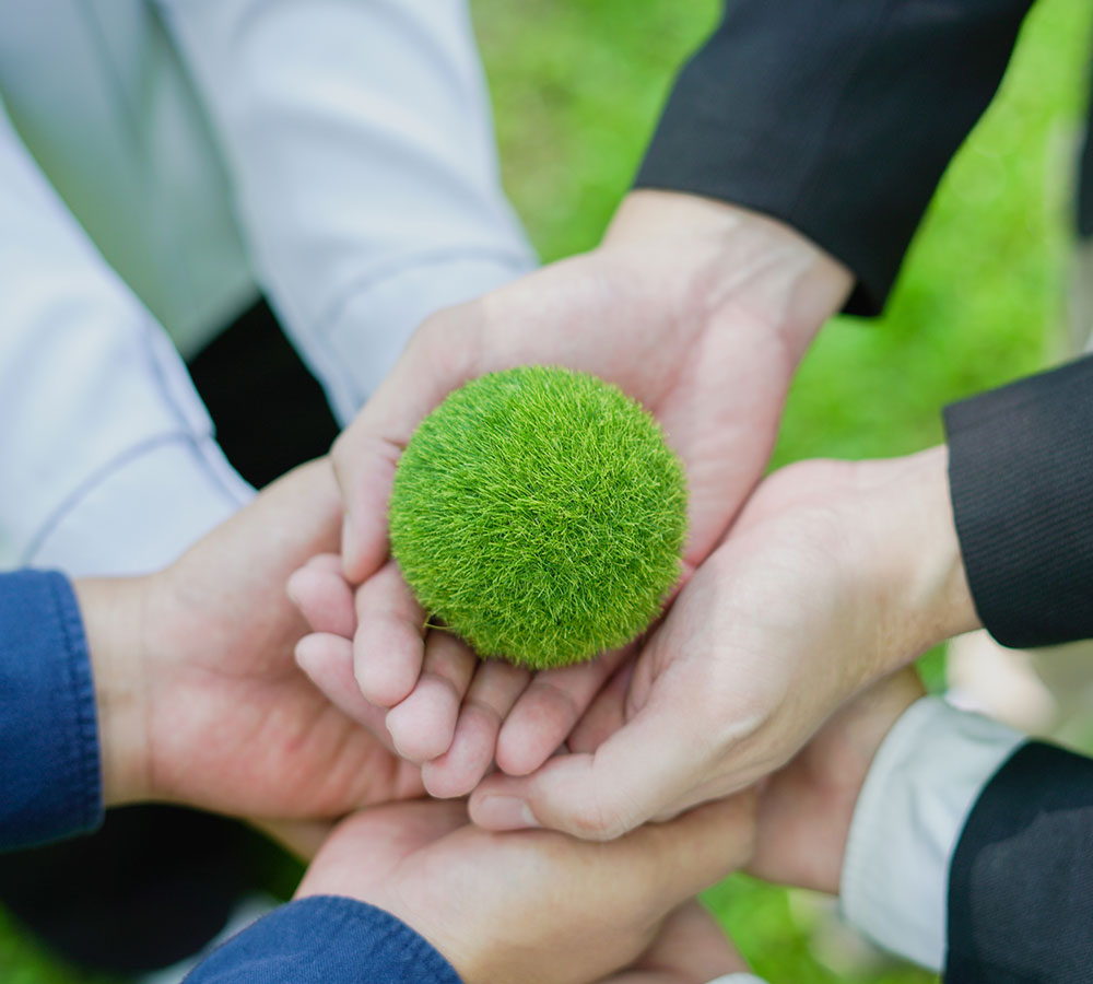 Sustainably Crafted Hospitality